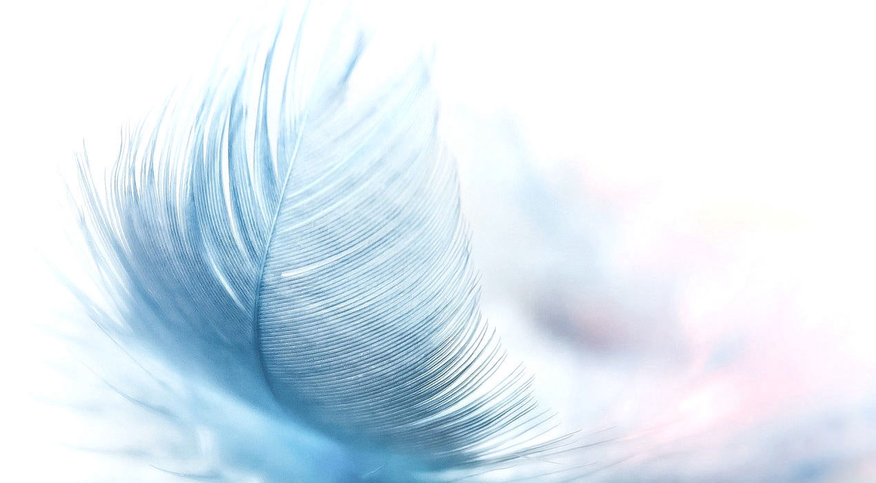 BIOTONUS - GESTION DU POIDS